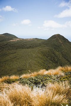 Mont Taranaki : le fier géant volcanique de Nouvelle-Zélande sur Ken Tempelers