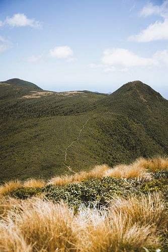 Mont Taranaki : le fier géant volcanique de Nouvelle-Zélande