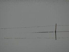 Aan de Waal 3 von addy de meij