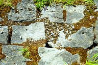 Colourful stones stand out