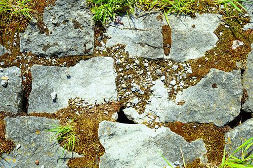 Colourful stones stand out
