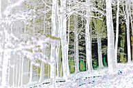 The energy of nature by FRESH Fine Art thumbnail