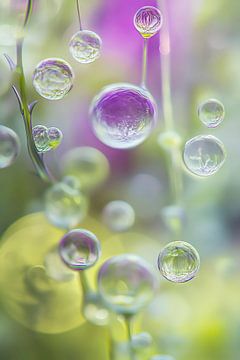 Waterdruppel wonder van Poster Art Shop