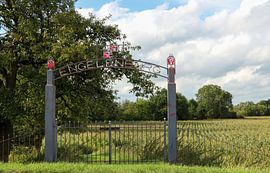 Re-wining by Annet Van Horssen