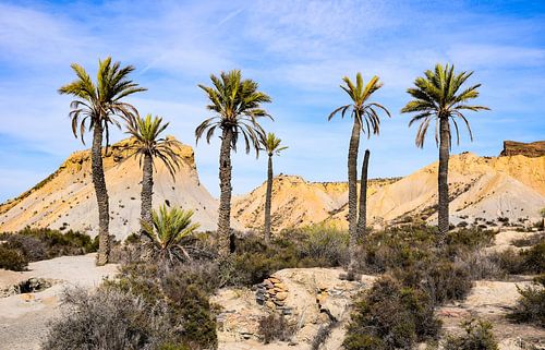 Tabernas, Spanje