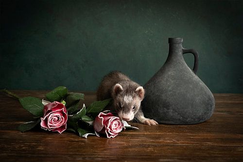 Stilleven van een fret pup met rode rozen en een blauwe vaas tegen een groene achtergrond
