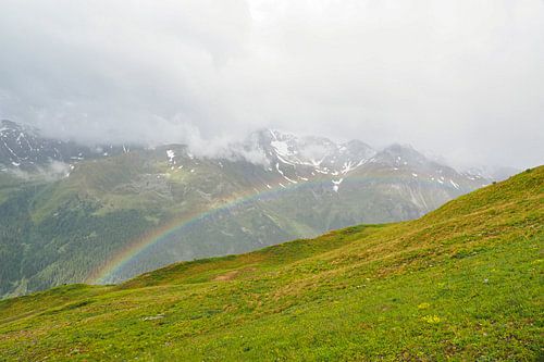 Lentebloemenpracht in de bergen van Vinschgau – alpenklokjes, wollegras en alpenweiden tegen een indrukwekkende achtergrond van bergtoppen.