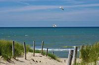 Dunes
