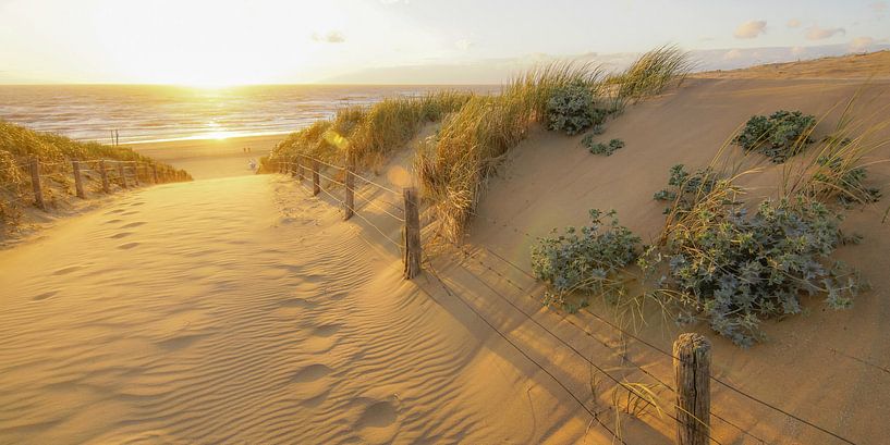 Beach at the coast near Katwijk by Dirk van Egmond