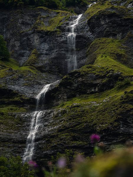 Wasserfall in La Vogealle, Frankreich von Joren van den Bos