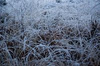 A frozen picture