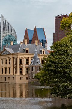 Politiek Den Haag van Eline Huizenga