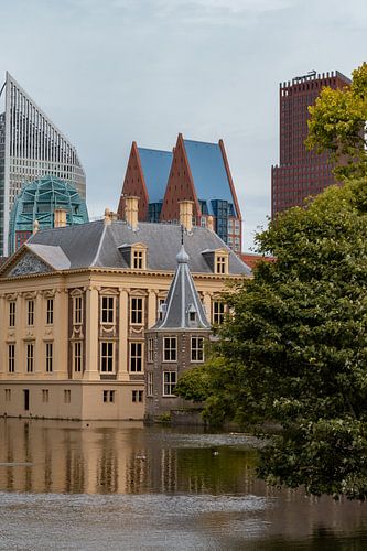 Politik Den Haag