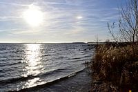 Cospudener See