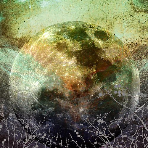 MOON under MAGIC SKY X-1