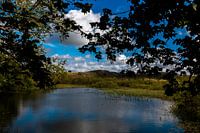 Doorkijk op de natuur van Egmond