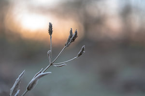 Arboretum Teil 8