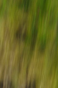 Abstract Grass 3
