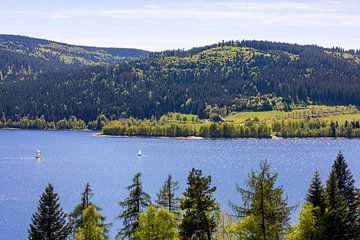 Schluchsee in het Zwarte Woud van Werner Dieterich