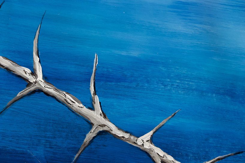 Dornen by Susanne A. Pasquay