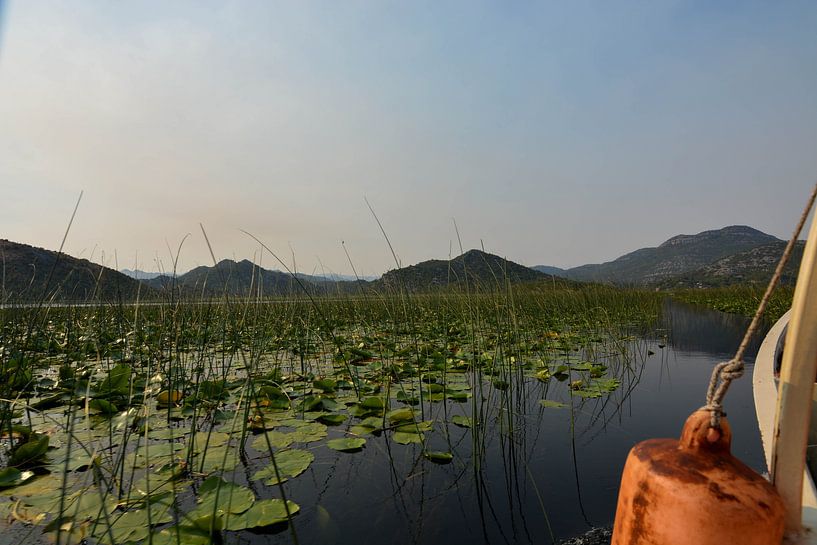 View on the Skadar lake by Thomas Legius