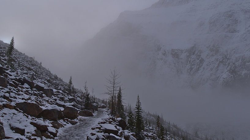 In the mist by Timon Schneider