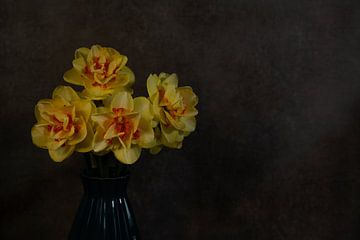 une nature morte avec des jonquilles jaune orange sur fond sombre sur ChrisWillemsen