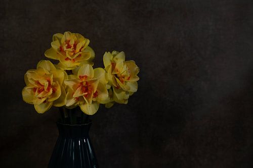 a still life with yellow orange daffodils on a dark background