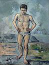 Paul Cézanne - Le Grand Baigneu van 1000 Schilderijen thumbnail