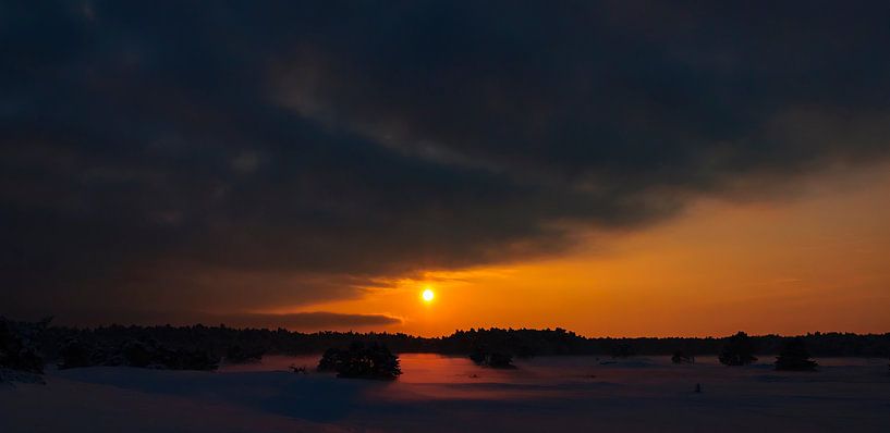 Winterlandschap met sneeuw in op de Veluwe van Sjoerd van der Wal Fotografie