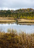 Algonquin Provincial Park in Ontario, Canada