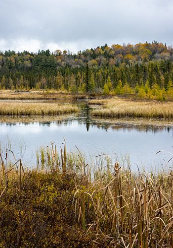 Algonquin Provincial Park in Ontario, Kanada