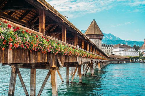 Lucerne bridge