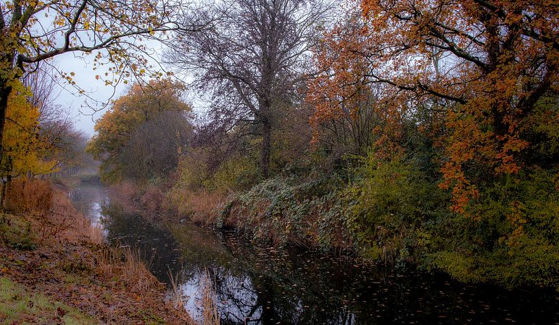 Nebel über herbstlichem Graben von peterheinspictures