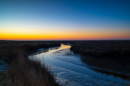Schiermonnikoog vroege winterochtend zonsopgang op de kwelder