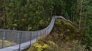 suspension bridge at Elk Falls by Timon Schneider