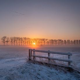 Winterlandschap met zonsopkomst van Moetwil en van Dijk - Fotografie