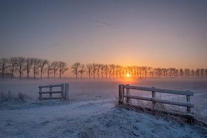 Winterlandschap met zonsopkomst van Moetwil en van Dijk - Fotografie