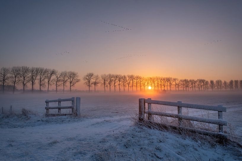 Winter landscape with sunrise by Moetwil en van Dijk - Fotografie