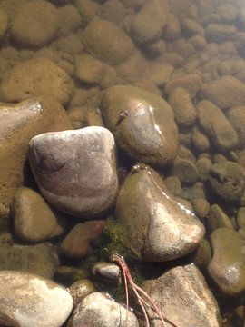 Stenen in het water