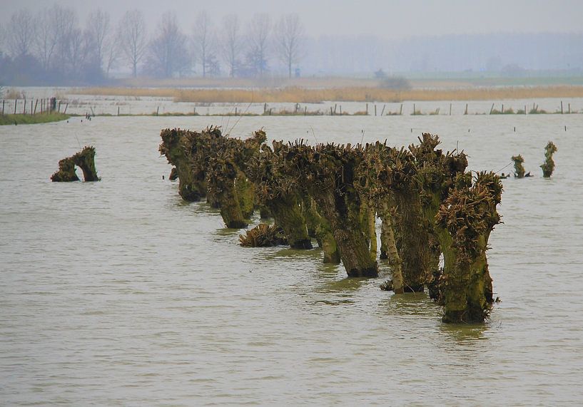 Hautes eaux par Jose Lok