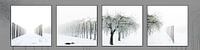 Grafische zwart-wit serie van landschap in de sneeuw
