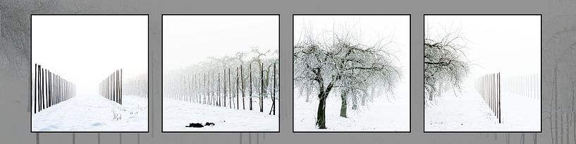 Grafische zwart-wit serie van landschap in de sneeuw van Saskia Nelissen