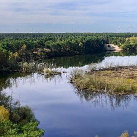 Panoramic view of the Lommel Sahara from the Giant of Bosland by Kristof Leffelaer