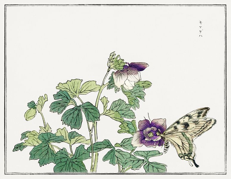 Morimoto Toko - Schmetterling auf einer Blume von Creativity Building