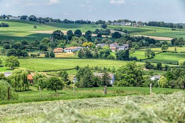 Le paysage du Limbourg méridional près d'Epen