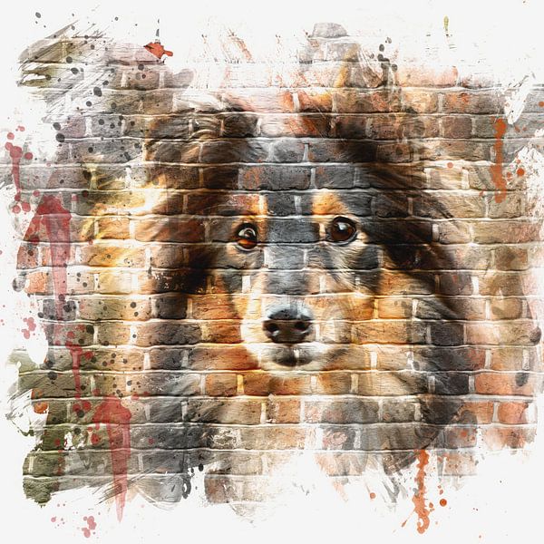Sheltie sur un mur de briques par Cynthia Verbruggen