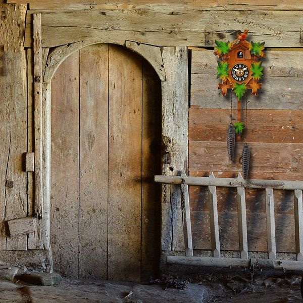 Koekoeksklok bij de stal van Ingo Laue