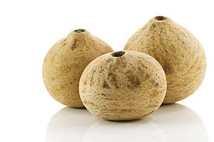 Boule Bellani naturelle