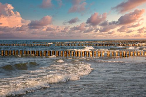 Groynes in the evening at the sea